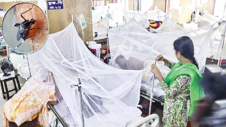 ডেঙ্গুতে একদিনেই ৮ মৃত্যু, হাসপাতালে ভর্তি ৭৬৫ ডেঙ্গুতে একদিনেই ৮ মৃত্যু, হাসপাতালে ভর্তি ৭৬৫