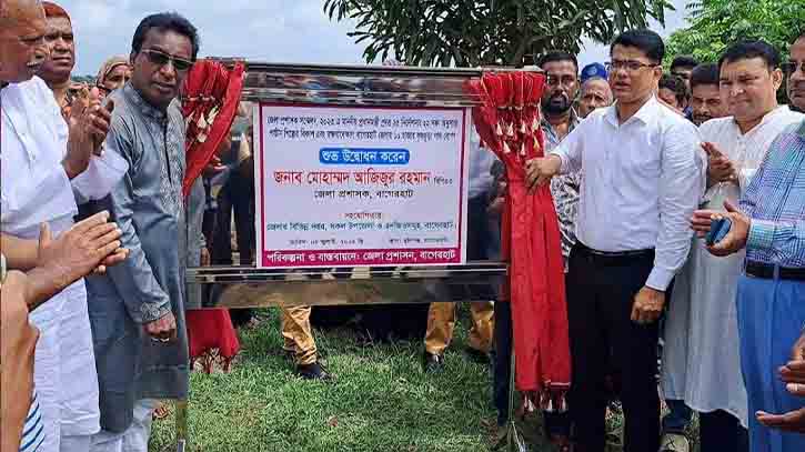 বাগেরহাটে  ১৫ হাজার কৃষ্ণচূড়া ও সোনালু গাছ রোপণ করা হচ্ছে