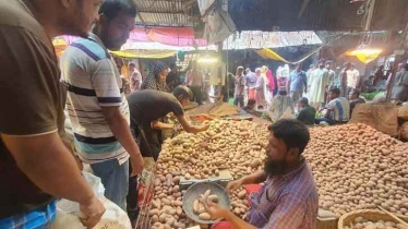 বগুড়ায় ভোক্তা পর্যায়ে ৩৬ টাকা কেজি দরে আলু বিক্রিতে স্বস্তি