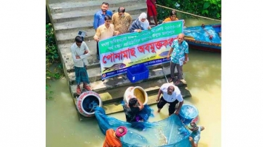 উন্মুক্ত জলাশয়ে পোনামাছ অবমুক্ত মুন্সীগঞ্জের শ্রীনগরে