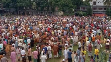 জয়পুরহাটে জমে উঠেছে কোরবানীর পশুরহাট