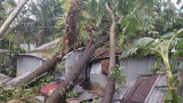 ঘূর্ণিঝড় ‘হামুন’ : কক্সবাজারে বিধ্বস্ত ৩৮ হাজার ঘরবাড়ি 