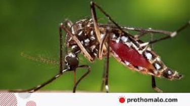 ডেঙ্গুতে একদিনে মৃত্যু হলো ৫ জনের