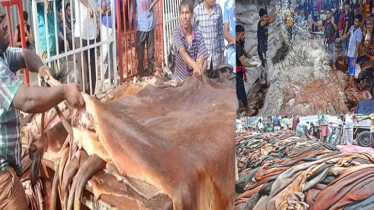চট্টগ্রামে কোরবানির পশুর চামড়া সংগ্রহের লক্ষ্যমাত্রা ৪ লাখ