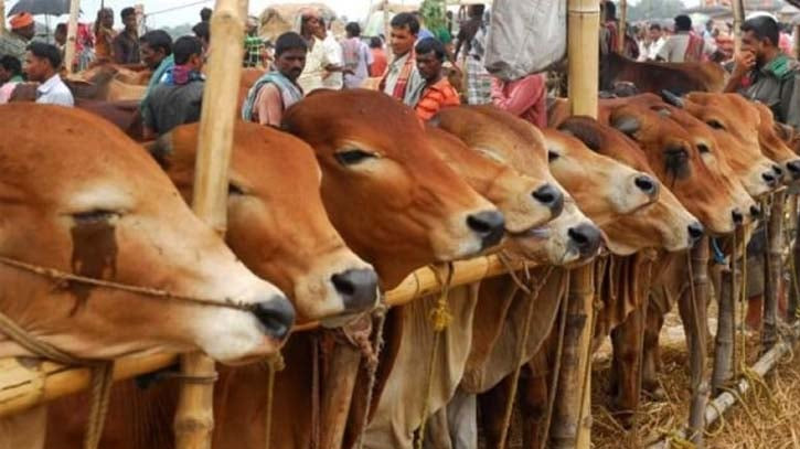 ঈদে ১ কোটি ৪ লাখ ৮ হাজার ৯১৮টি গবাদিপশু কোরবানি দেওয়া হয়েছে ঈদে ১ কোটি ৪ লাখ ৮ হাজার ৯১৮টি গবাদিপশু কোরবানি দেওয়া হয়েছে
