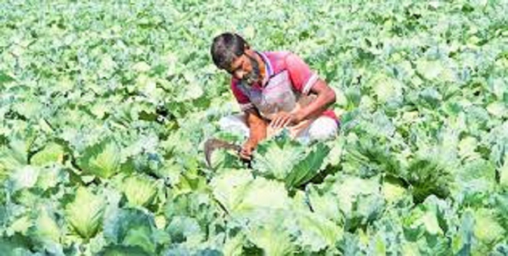 মোবাইল অ্যাপে ঋণের ফাঁদ: এক সপ্তাহেই অস্বাভাবিক সুদ দেরি হলেই হুমকি-হয়রানি